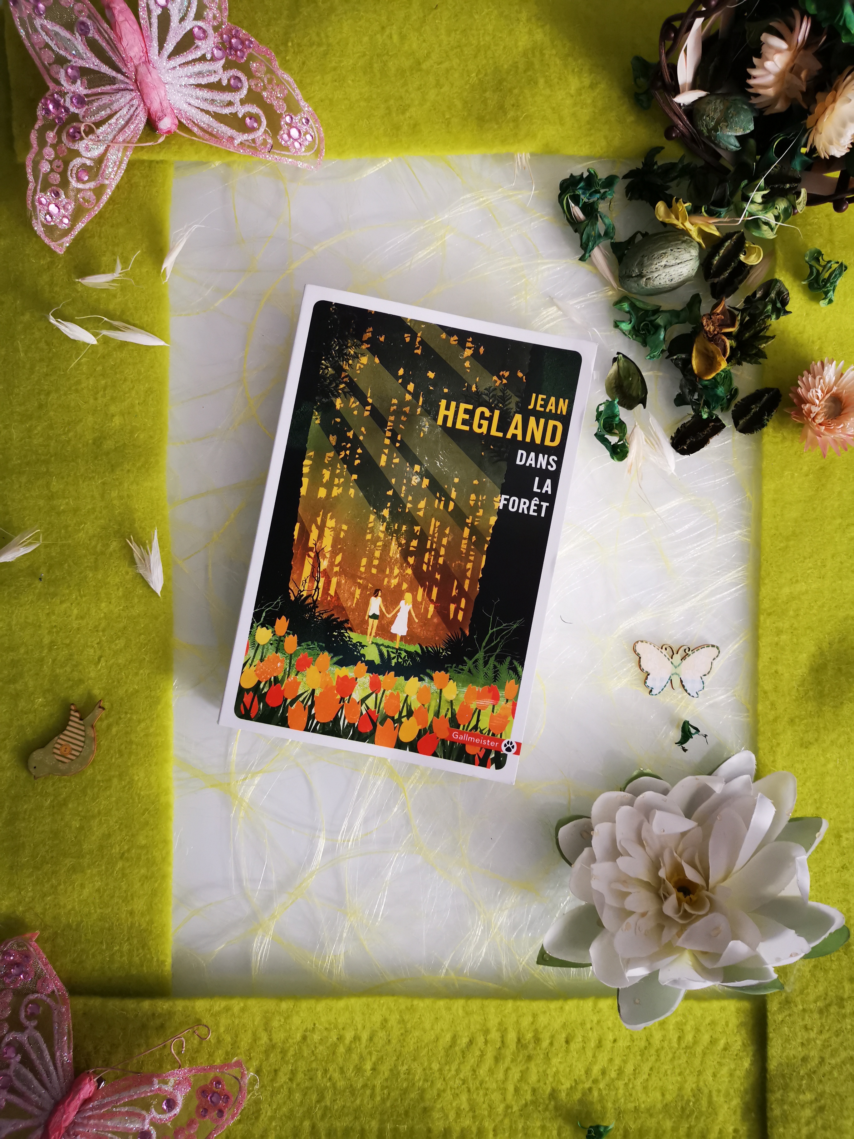 Dans la forêt de Jean Hegland – Livresque78